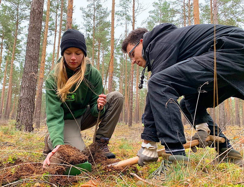 Jugendliche pflanzen neuen Baum im Wald 